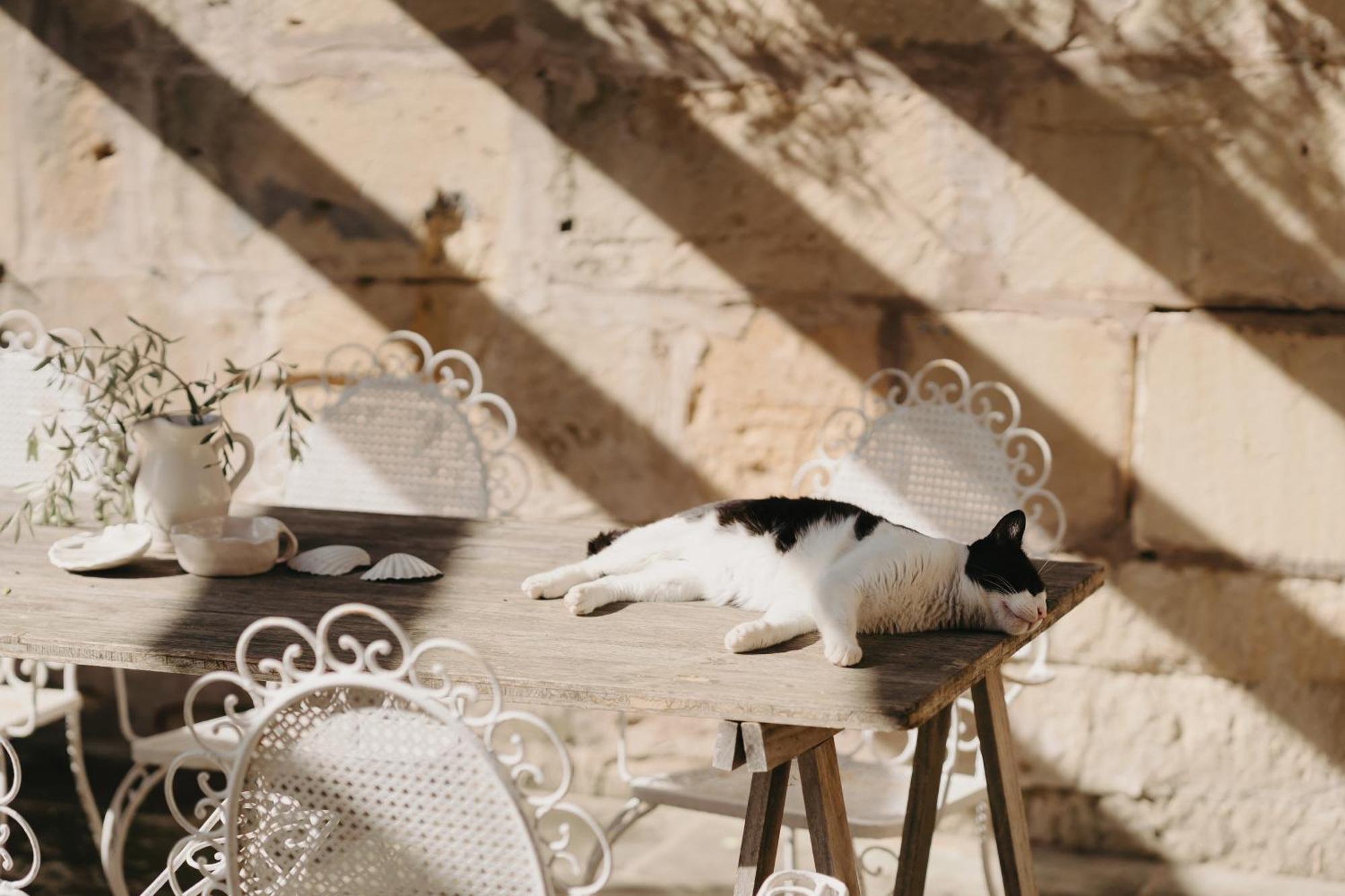 El Appartement Manacor (Mallorca)